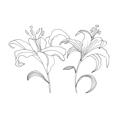 [object Object] undefined
