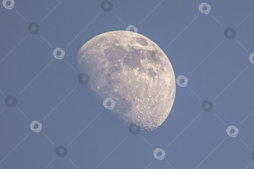Скачать Луна вечерняя фотосток Ozero
