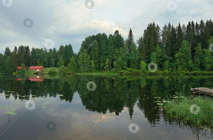 Скачать Озеро Коулулампи, Карелия фотосток Ozero