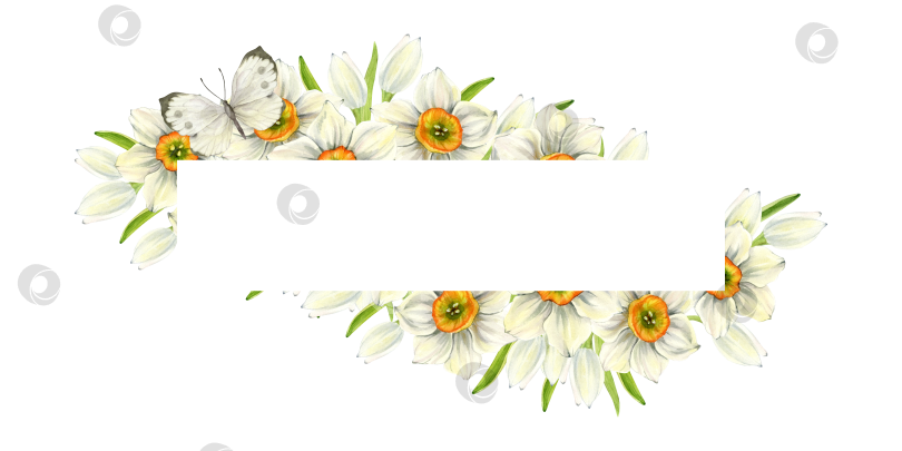 Скачать рамка из весенних цветов фотосток Ozero