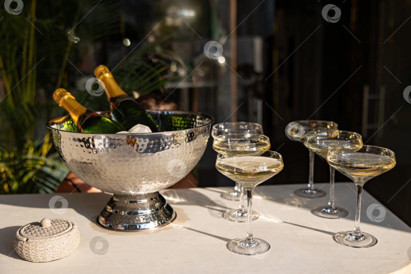 Скачать Роскошная выставка бутылок игристого вина и элегантных бокалов для шампанского на мраморном столе, окруженном пышной зеленью, в изысканной обстановке фотосток Ozero