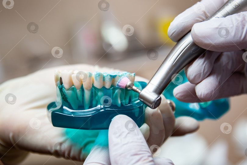 Скачать Стоматолог демонстрирует, как полировать зубы с помощью зубной щетки и зубной пасты фотосток Ozero