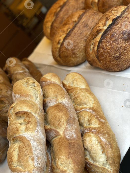 Скачать Свежеиспеченные багеты и батоны на закваске выставлены в пекарне фотосток Ozero