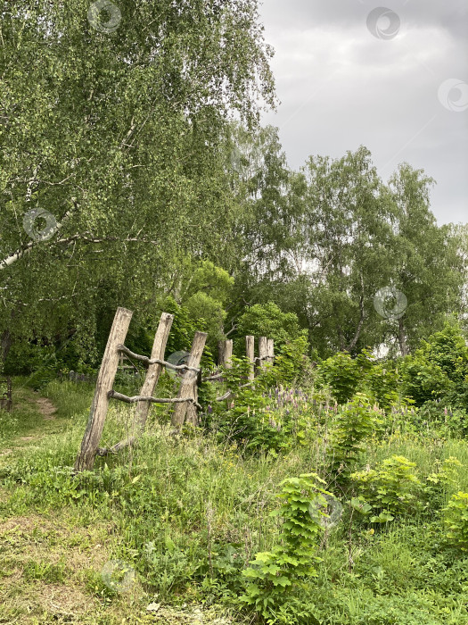 Скачать Лесная тропинка среди пышной зелени и деревянных столбов забора, подходящих в качестве естественного фона фотосток Ozero