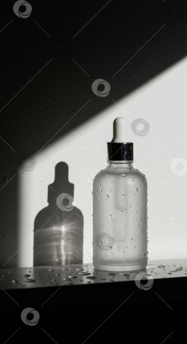 Скачать Прозрачный косметический флакон с капельками воды, отбрасывающими тень на белом фоне. Макет косметического средства. фотосток Ozero