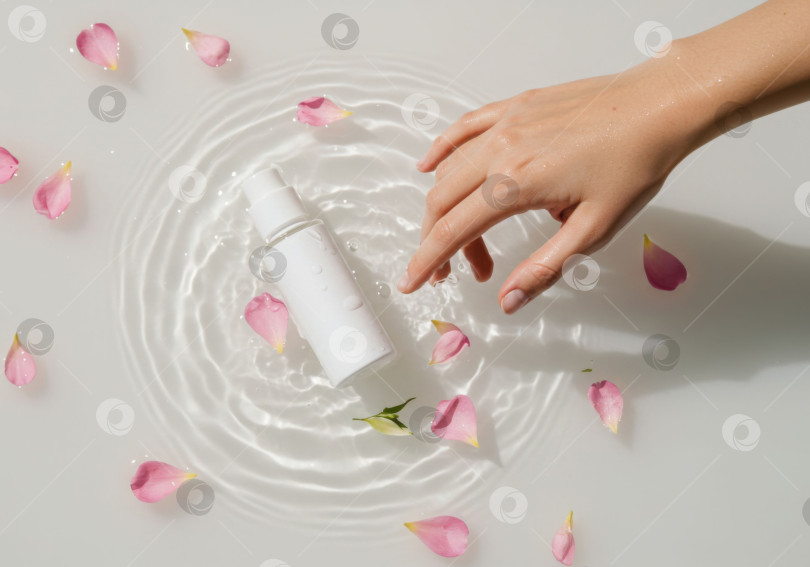 Скачать Женская рука касается воды возле косметического флакона с лепестками роз. Макет натурального косметического средства для увлажнения кожи. фотосток Ozero