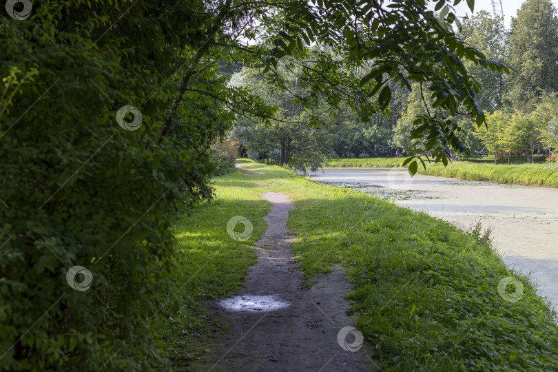 Скачать тропа фотосток Ozero