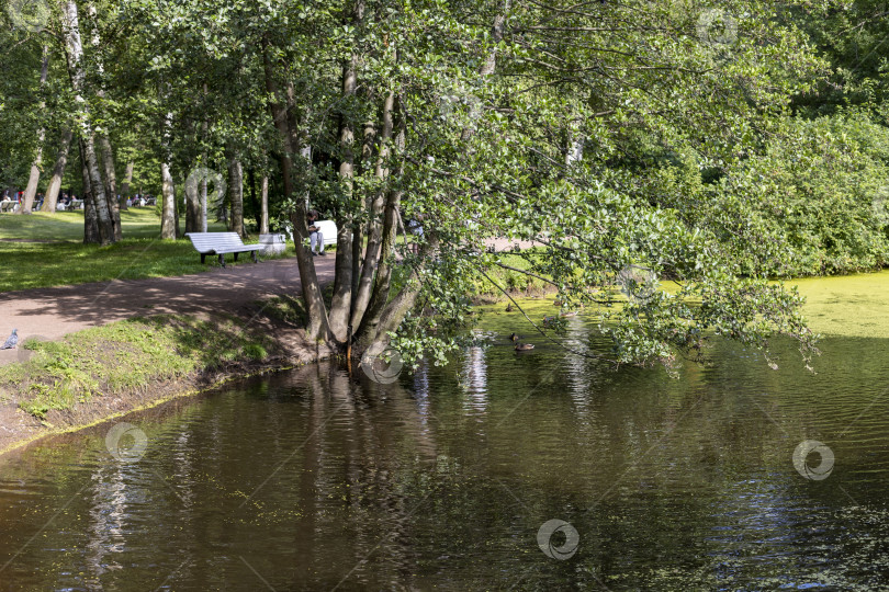 Скачать озеро фотосток Ozero