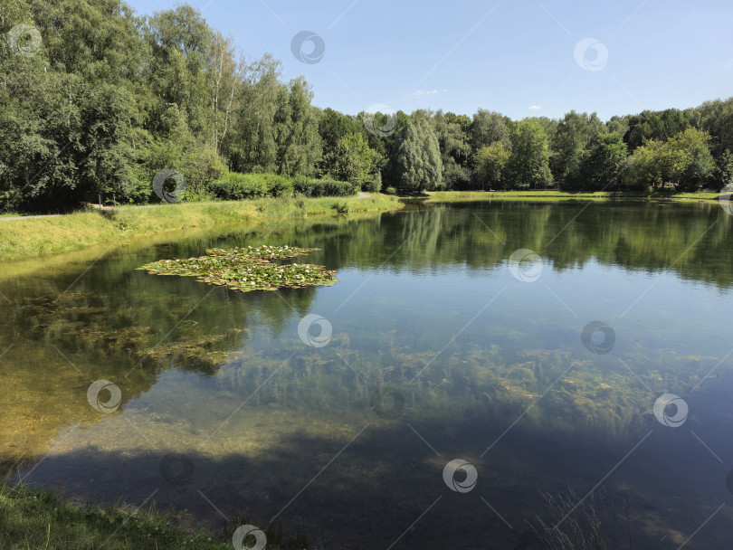 Скачать озеро фотосток Ozero