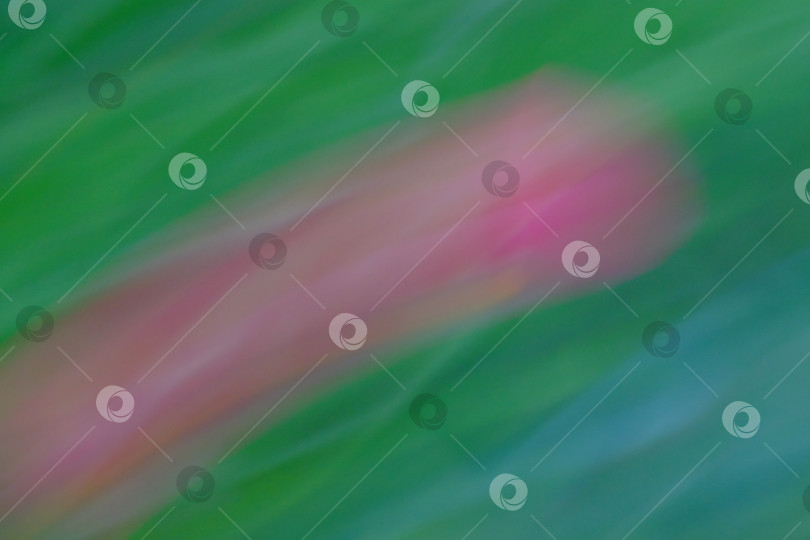 Скачать Абстрактные размытые в движении яркие розовые лепестки цветов на пышном зеленом фоне создают ощущение движения и текучести в красоте и спокойствии природы. фотосток Ozero