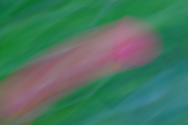 [object Object] undefined