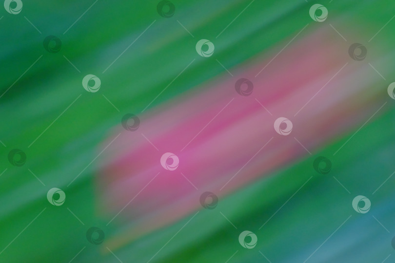 Скачать Абстрактное размытое изображение ярко-розовых цветочных лепестков на пышном зеленом фоне, создающее ощущение движения и спокойствия в окружении красоты и гармонии природы фотосток Ozero