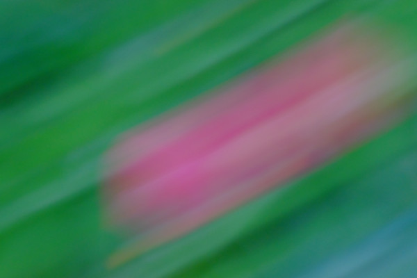 [object Object] undefined