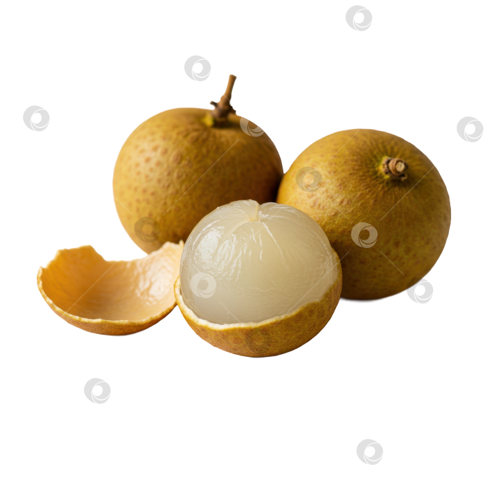 Скачать Свежий фрукт лонган, один очищенный, с двумя целыми лонганами и без кожуры, на прозрачном фоне. фотосток Ozero