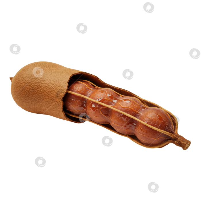 Скачать На прозрачном фоне вырежьте плод тамаринда с коричневой кожурой и мякотью. Полезные тропические блюда и экзотические фрукты. фотосток Ozero