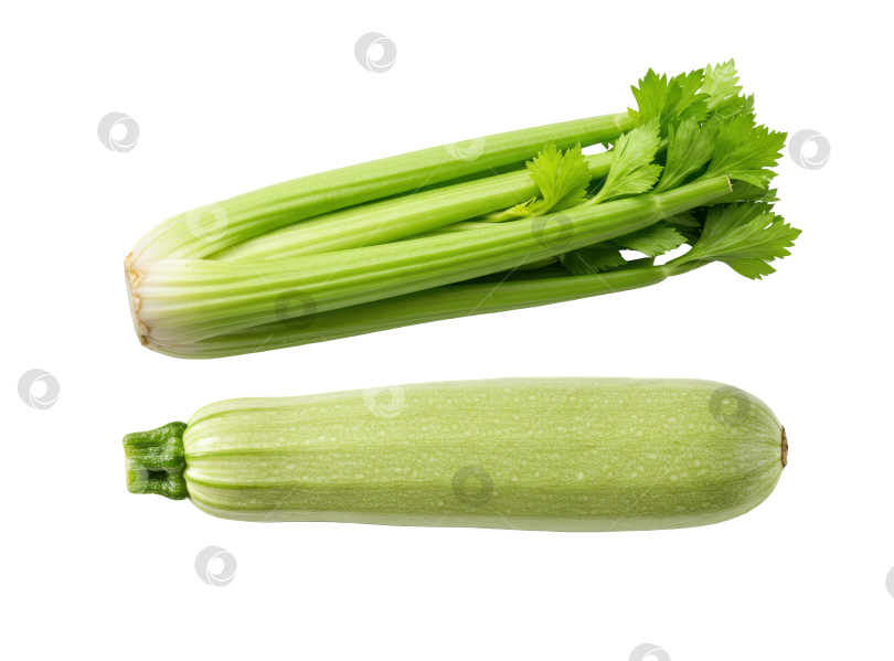 Скачать Свежие зеленые овощи, полезные сырые кабачки и стебель сельдерея для вегетарианской диеты, выделенные на прозрачном фоне. фотосток Ozero