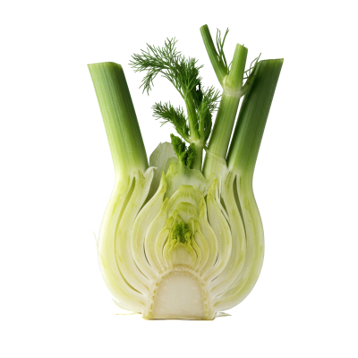 [object Object] undefined