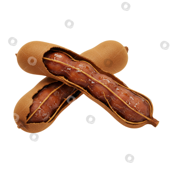 Скачать Два свежих и спелых стручка сырого тамаринда, один из которых частично раскрыт, на прозрачном фоне. Полезный экзотический фрукт для кулинарного применения. фотосток Ozero