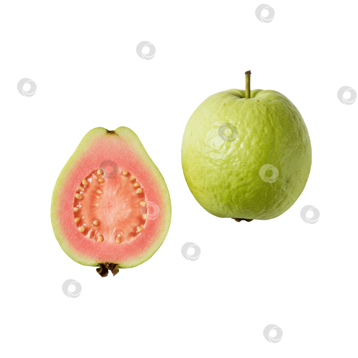Скачать Цельная зеленая гуава и ярко-розовая половинка гуавы, нарезанная ломтиками, на прозрачном фоне. Полезные тропические фрукты для диетического питания и употребления в свежем виде. фотосток Ozero