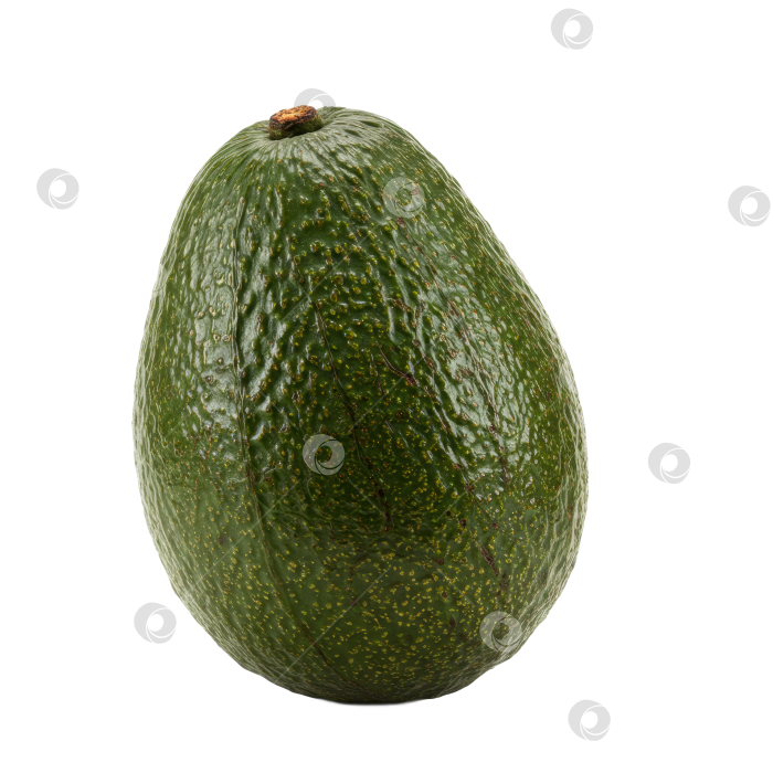 Скачать Свежий цельный зеленый авокадо на прозрачном фоне для здорового питания. фотосток Ozero