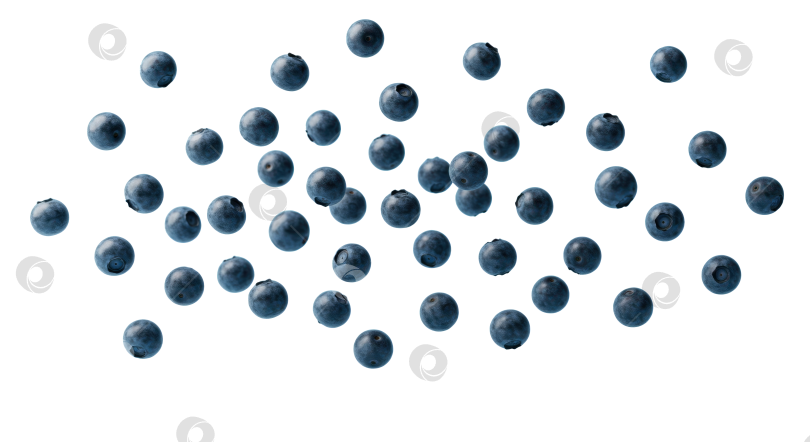 Скачать Падает свежая черника, концепция здорового питания на прозрачном фоне. Ягоды для здорового питания, рецепты, маркетинг. фотосток Ozero