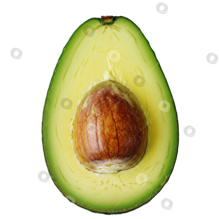 Скачать Половинка зеленого авокадо с косточками на прозрачном фоне. Свежий экзотический фрукт для здорового питания. фотосток Ozero