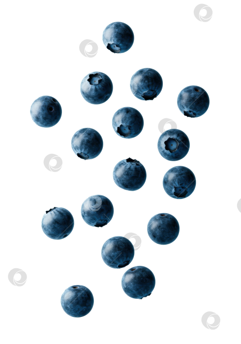 Скачать Натуральная черника на прозрачном фоне. Свежая ягода на белом фоне. Концепция здорового питания. фотосток Ozero