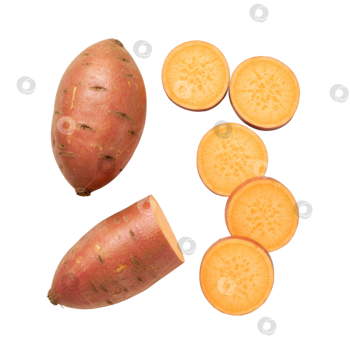 Скачать Цельный сладкий картофель и пять круглых ломтиков на прозрачном фоне. Полезный овощной продукт. Концепция диетического питания. фотосток Ozero