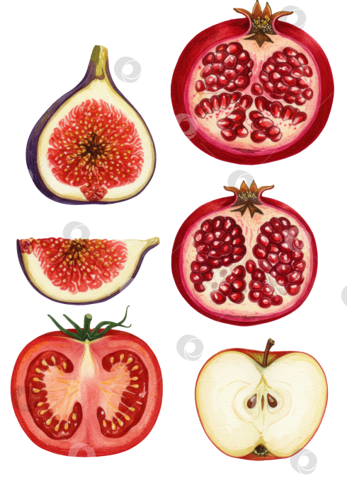 Скачать Свежие цельные и нарезанные фрукты на прозрачном фоне. Здоровое питание и диета. Иллюстрация продуктов для оформления продуктового магазина. фотосток Ozero