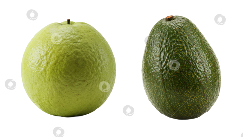 Скачать Гуава и авокадо на прозрачном фоне. Свежие зеленые экзотические фрукты для здорового питания и веганской диеты. фотосток Ozero