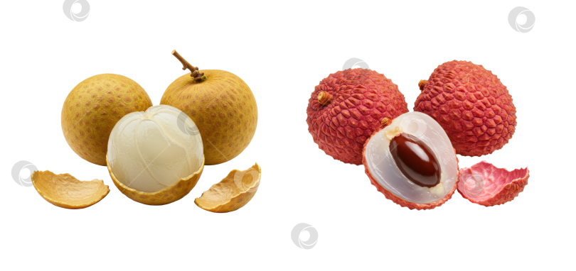 Скачать Свежие экзотические плоды лонгана и личи, очищенные и целые, на прозрачном фоне. Полезная тропическая закуска для полноценного питания. фотосток Ozero