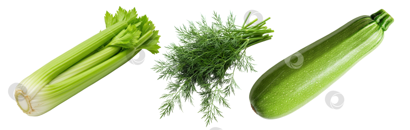 Скачать Свежий полезный зеленый сельдерей, укроп и цуккини - овощи для здорового питания и веганской диеты на прозрачном фоне фотосток Ozero