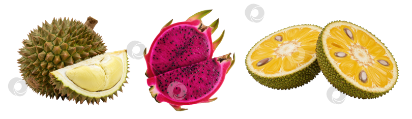 Скачать Набор экзотических фруктов: цельный дуриан с кусочками, нарезанный драгон-фрукт и джекфрут на прозрачном фоне для создания концепции здорового питания. фотосток Ozero