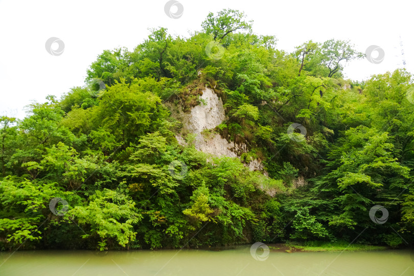 Скачать Холм, покрытый деревьями, и водоем фотосток Ozero