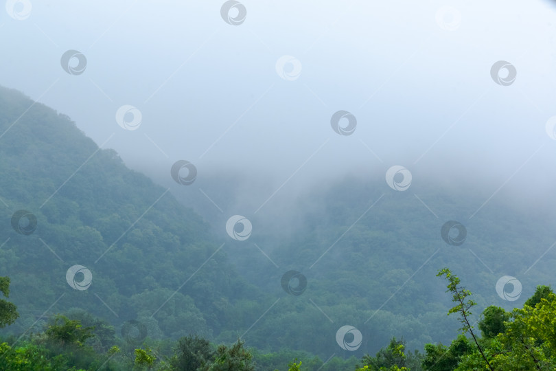 Скачать Горный хребет, покрытый деревьями и туманом фотосток Ozero