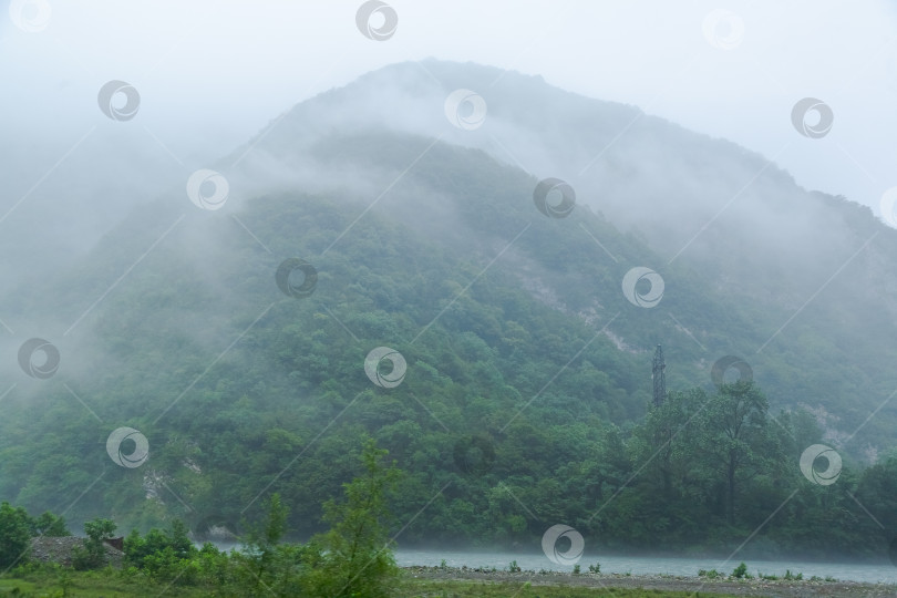 Скачать Гора, покрытая деревьями и туманом фотосток Ozero