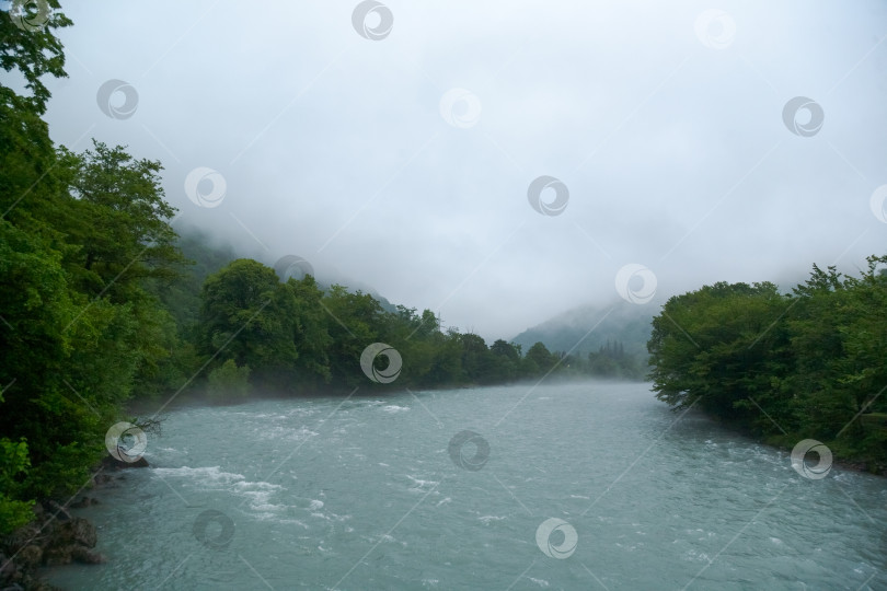 Скачать Река с множеством деревьев и облачным небом фотосток Ozero