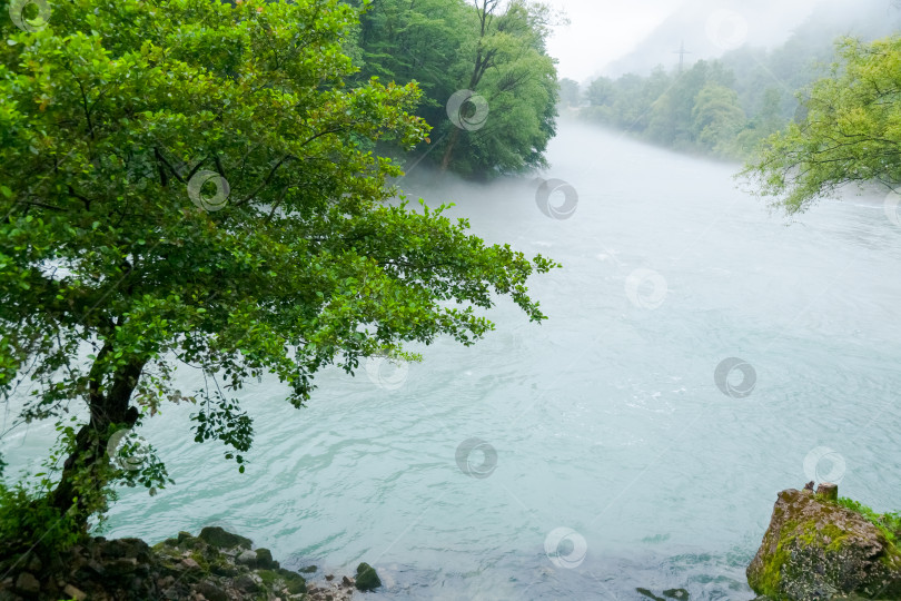 Скачать Река с деревом на переднем плане фотосток Ozero