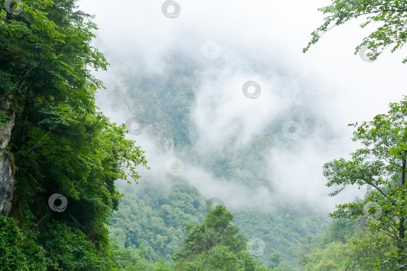 Скачать Горный хребет, покрытый деревьями и туманом фотосток Ozero