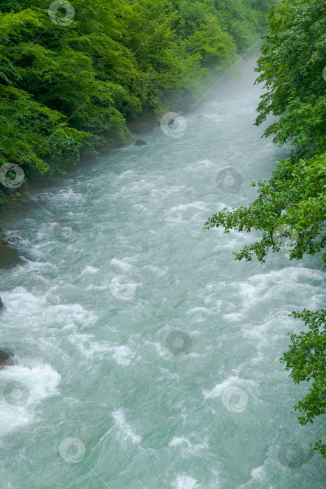 Скачать Река с большим количеством воды и деревьев фотосток Ozero