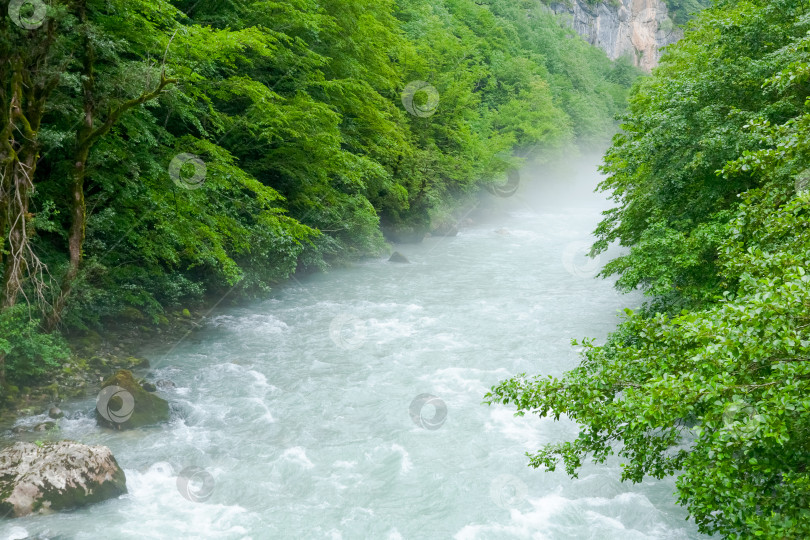 Скачать Река с большим количеством деревьев и воды фотосток Ozero