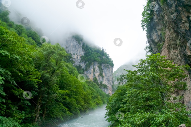 Скачать Река с деревьями по обе стороны фотосток Ozero