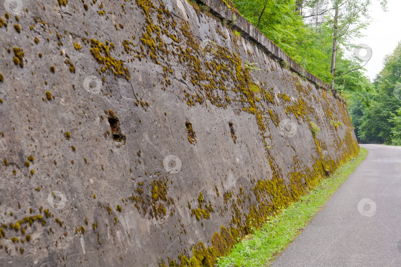 Скачать Стена, покрытая мхом и грязью фотосток Ozero