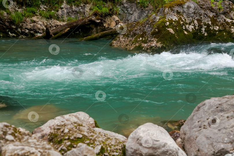 Скачать Река с множеством камней и мха фотосток Ozero