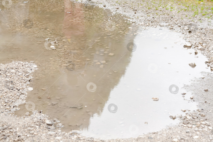 Скачать Лужица воды на земле фотосток Ozero