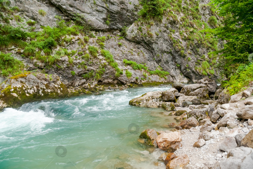Скачать Река с зеленым камнем посередине фотосток Ozero