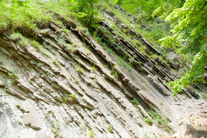 Скачать Скалистый утес с растущими на нем зелеными растениями фотосток Ozero