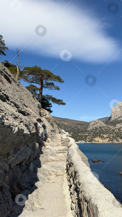 Скачать Скалистый утес с деревом на нем фотосток Ozero