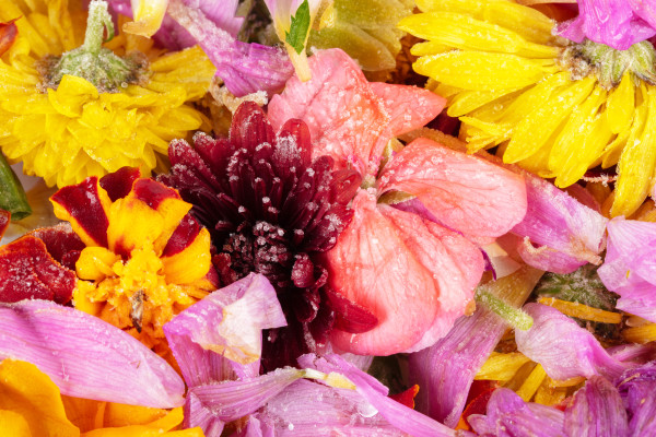[object Object] undefined