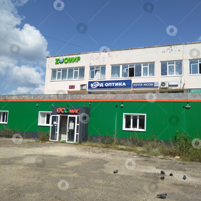 Скачать Библиотека, салон оптики и зоомагазин. фотосток Ozero